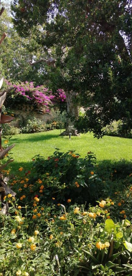 Residence Il Giunco Presicce Exteriér fotografie