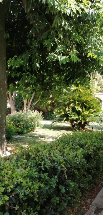 Residence Il Giunco Presicce Exteriér fotografie